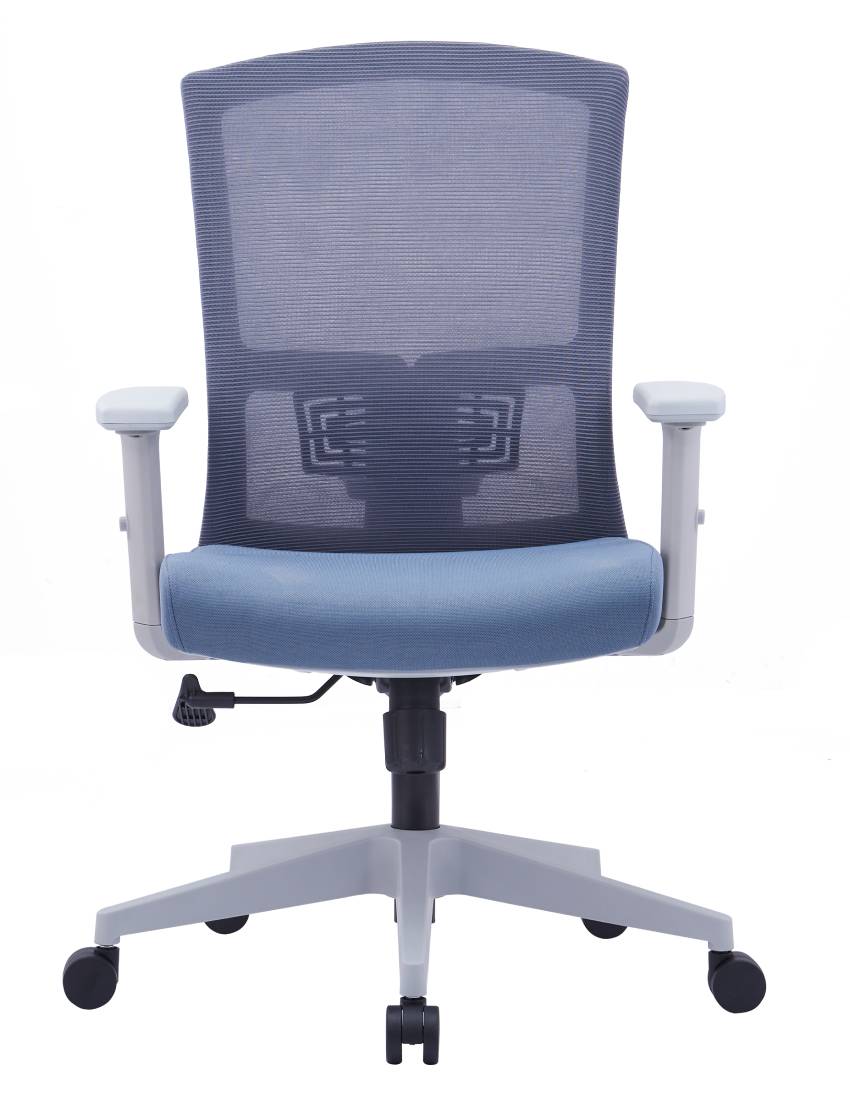 Medium Back Ergonomic Office Chair