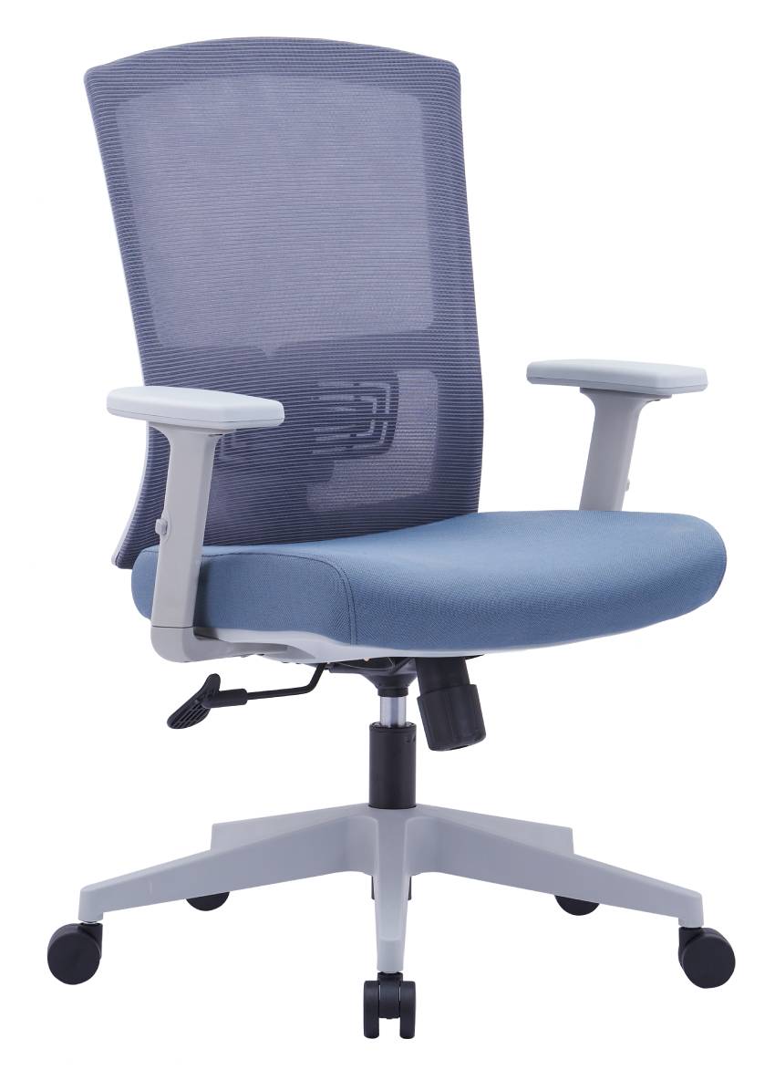 Medium Back Ergonomic Office Chair
