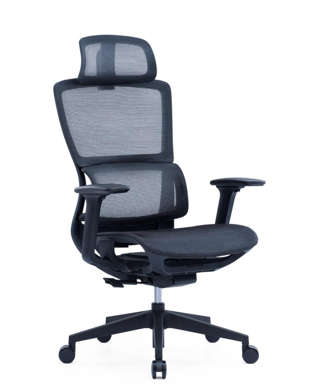 Ergonomic Mesh High-Back Office Chair with Adjustable Headrest and Lumbar Support – Full Mesh