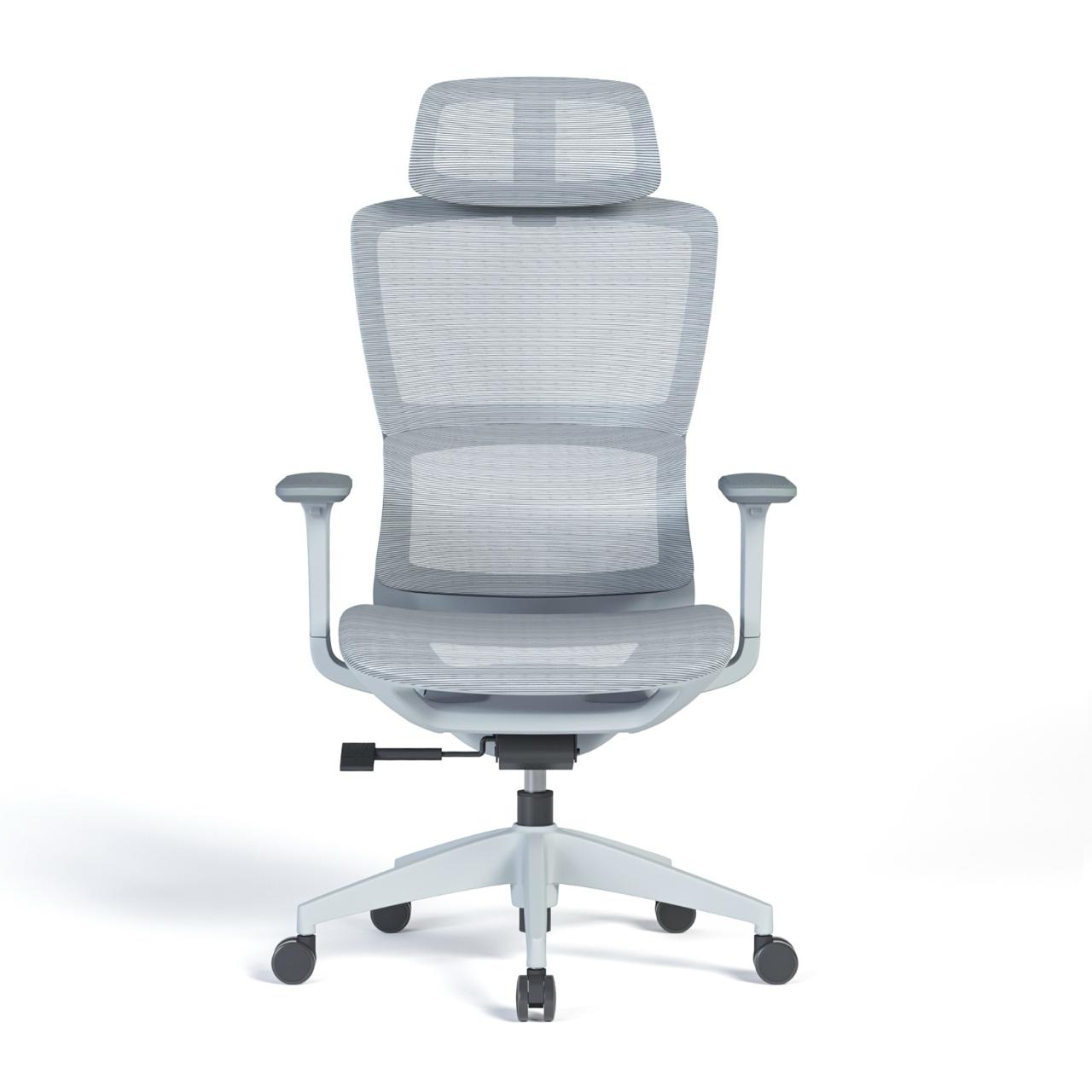 Ergonomic Mesh High-Back Office Chair with Adjustable Headrest and Lumbar Support – Full Mesh
