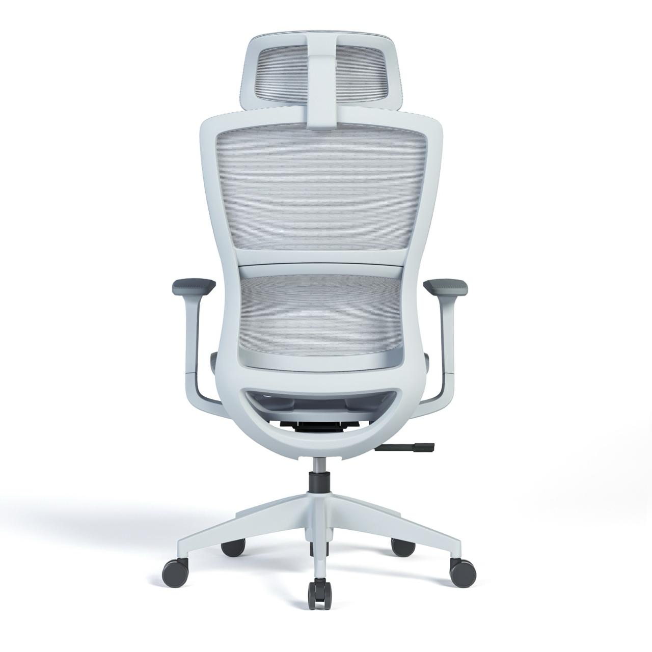 Ergonomic Mesh High-Back Office Chair with Adjustable Headrest and Lumbar Support – Full Mesh
