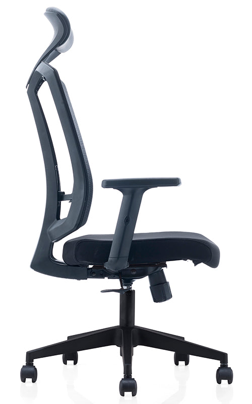 High Back Mesh Ergonomic Chair for Office with Chrome Base
