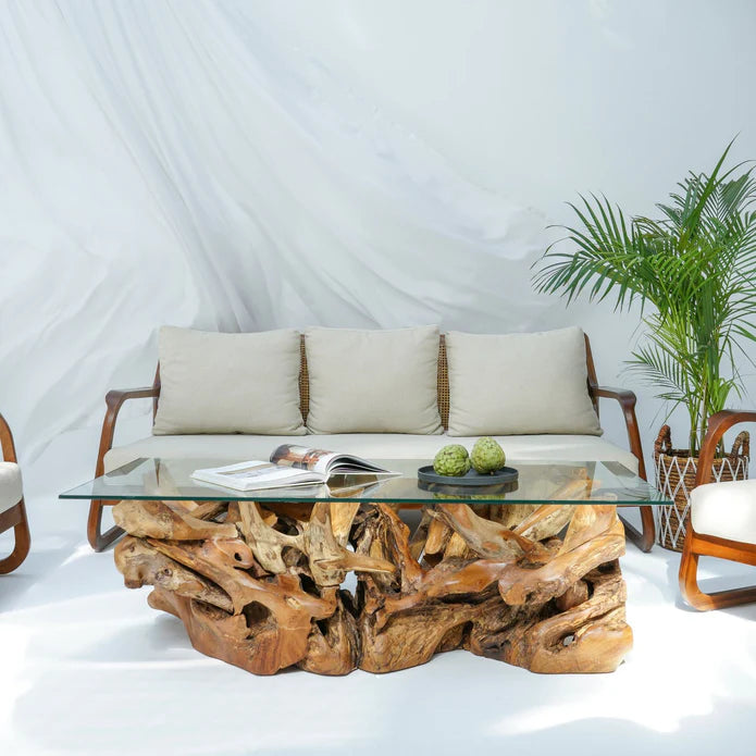Luxury Teak Root Coffee Table, Naturally Unique Design