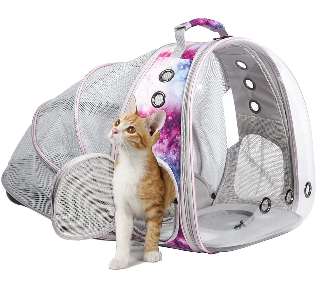 halinfer SOURCER Expandable Bubble Cat Carrier Backpack, Space Capsule Pet Carrier for Small Dog, Transparent Pet Hiking Traveling Backpack X-Large Grey