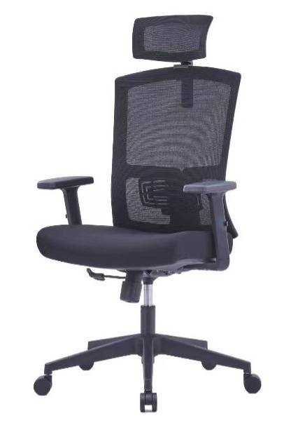 Ergonomic High Back Office Chair