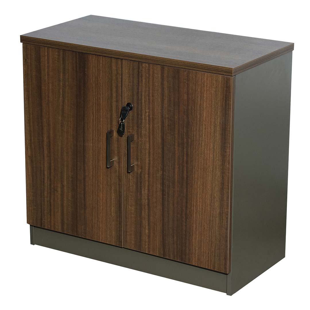 Two Door Office Cupboard With Two Shelves For Organized Storage - Brown-GCC Home Center