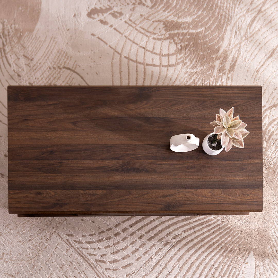 Coffee Table – Modern Walnut Table with Door & Shelf Storage