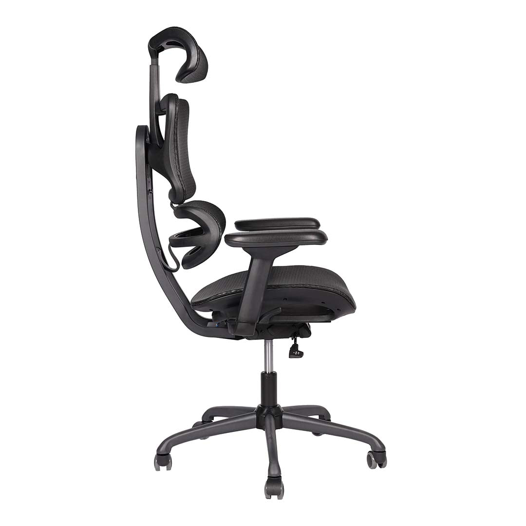 High Back Medicated Chair, Office Chair With Height Adjustable, Lumbar Support And 5 Swivel Wheels-GCC Home Center