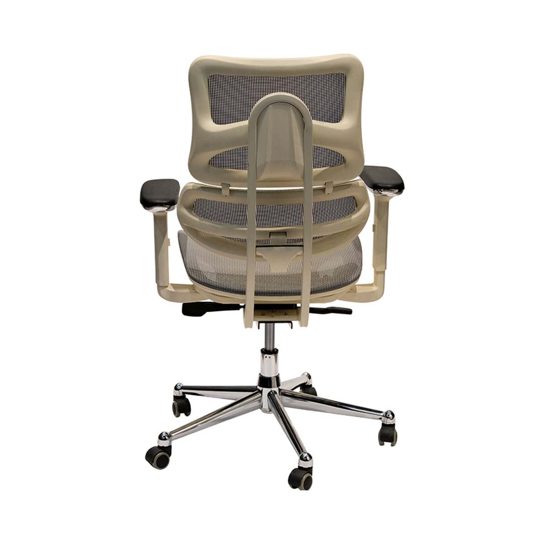 Low Back Medicated Office Chair With Lumbar Support And Height Adjustable - Grey-GCC Home Center