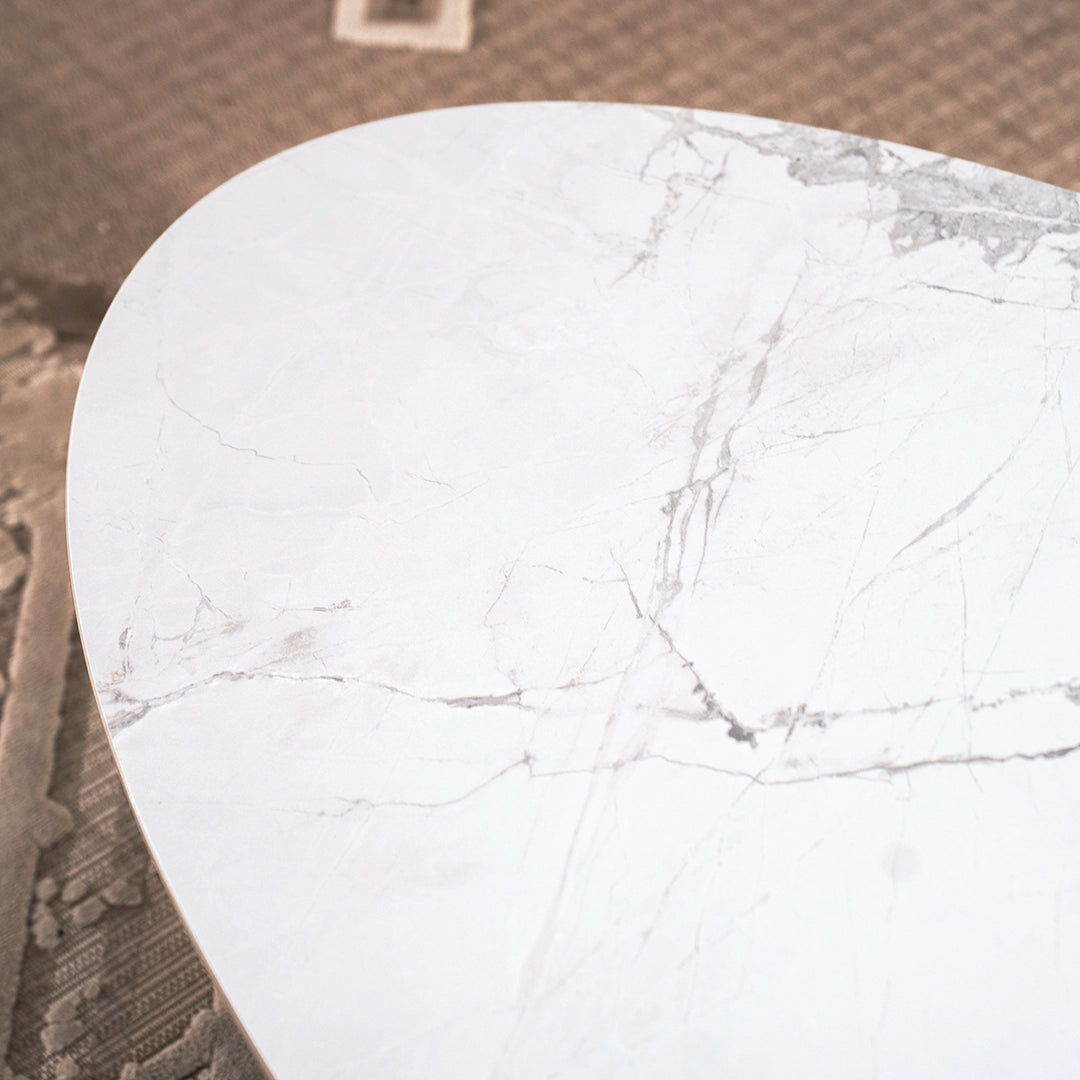 Modern Coffee Table Set of 2