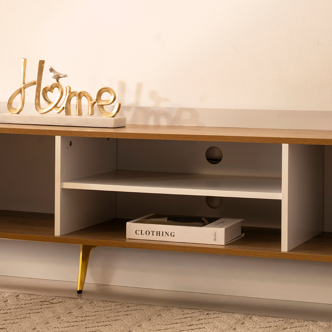 Elegant Design TV Unit with 2 Cabinets