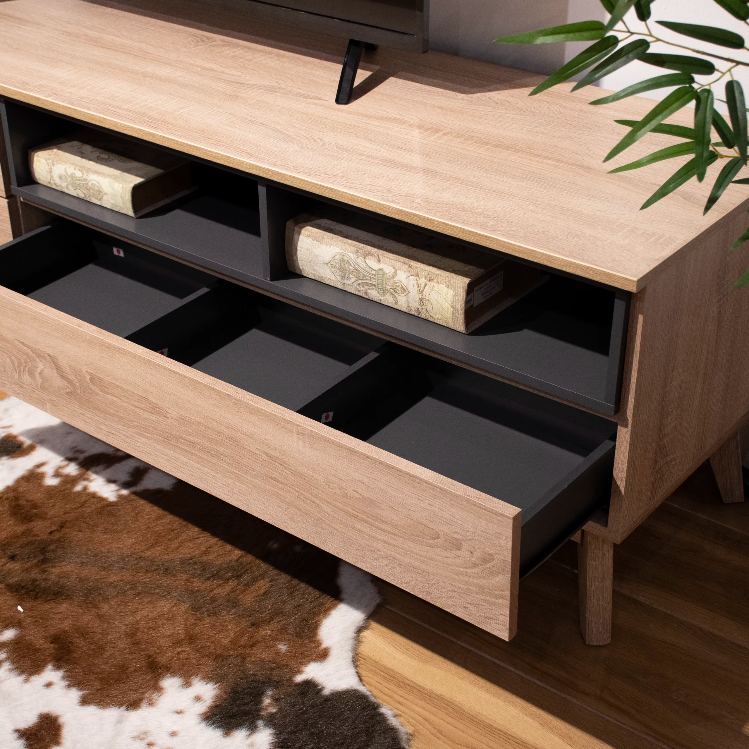 Hilary Modern TV Cabinet