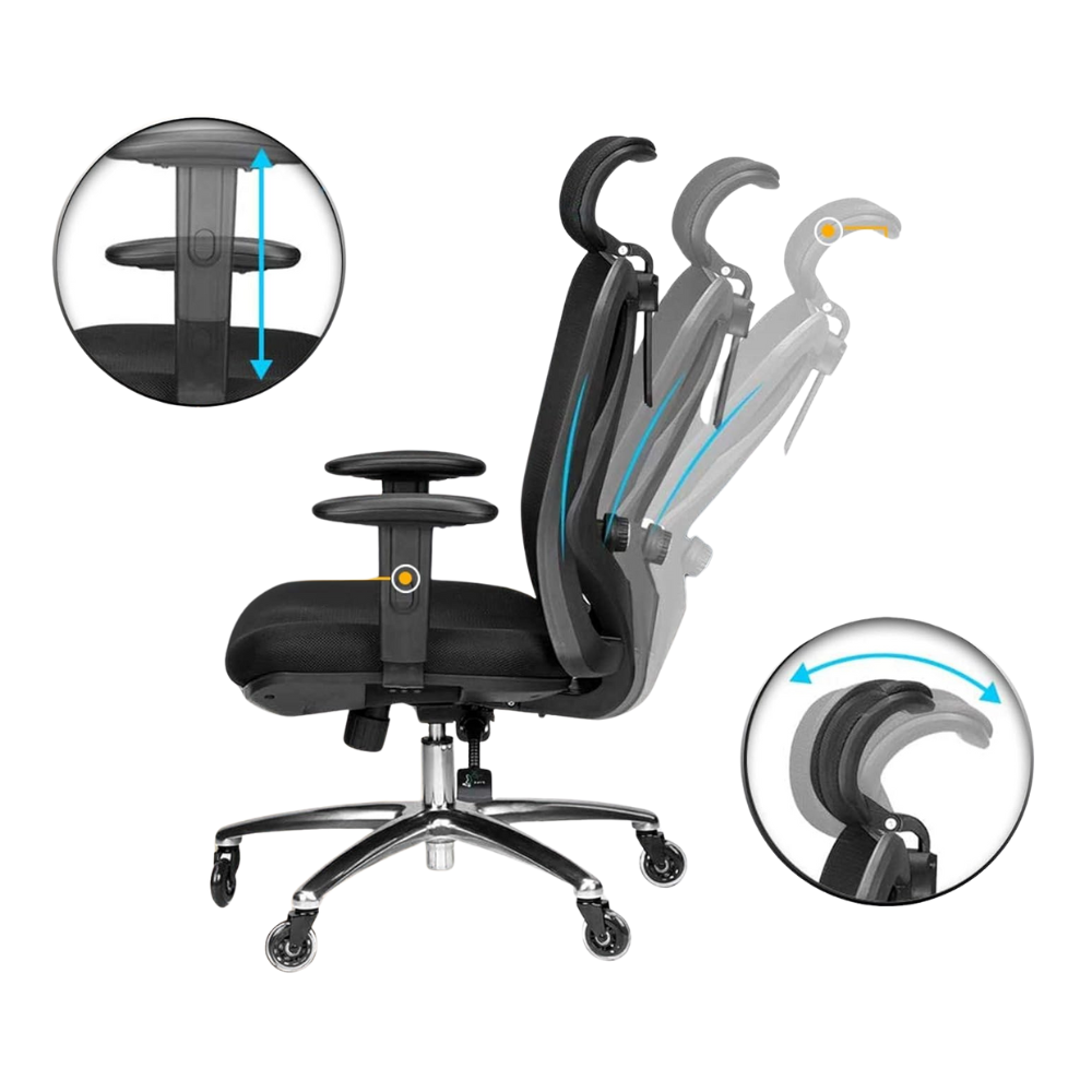 Ergonomic Mesh Office Chair with Adjustable Lumbar Support & Stainless Steel Frame - Breathable Design, 330 lbs Capacity-GCC Home Center