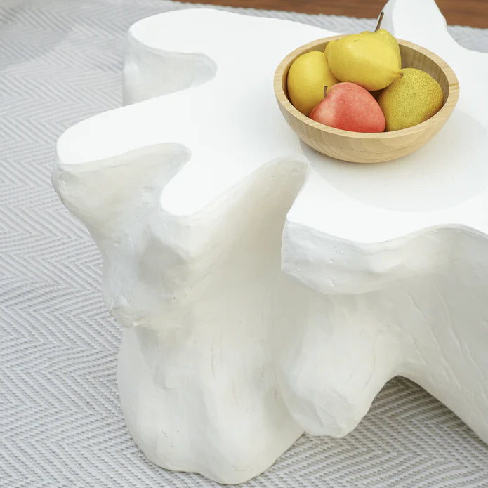 Luxury Nature Design Coffee Table