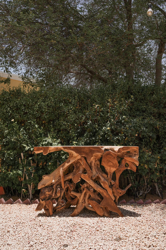 Luxury Natura Teak Root Console/Coffee Table