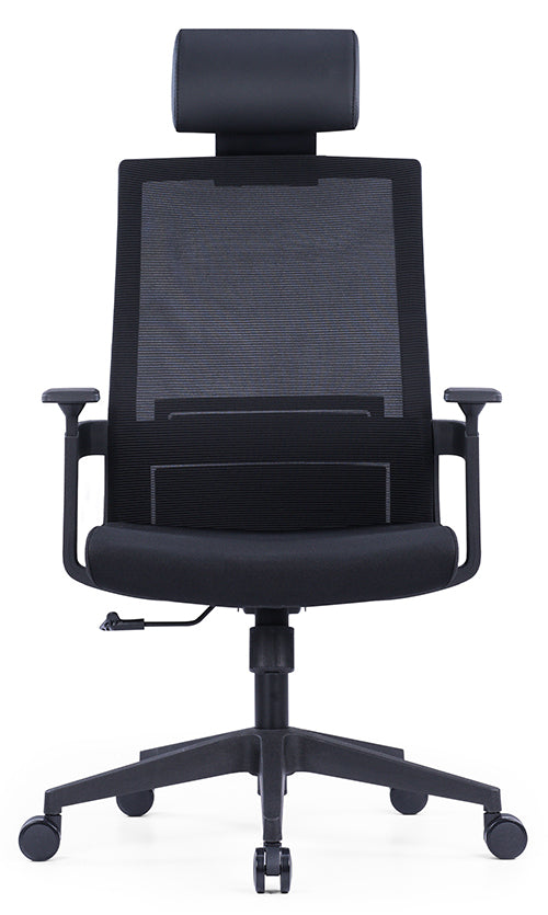 Ergonomic Office Chair – High-Density Seat, Adjustable Lumbar, Fixed Armrest