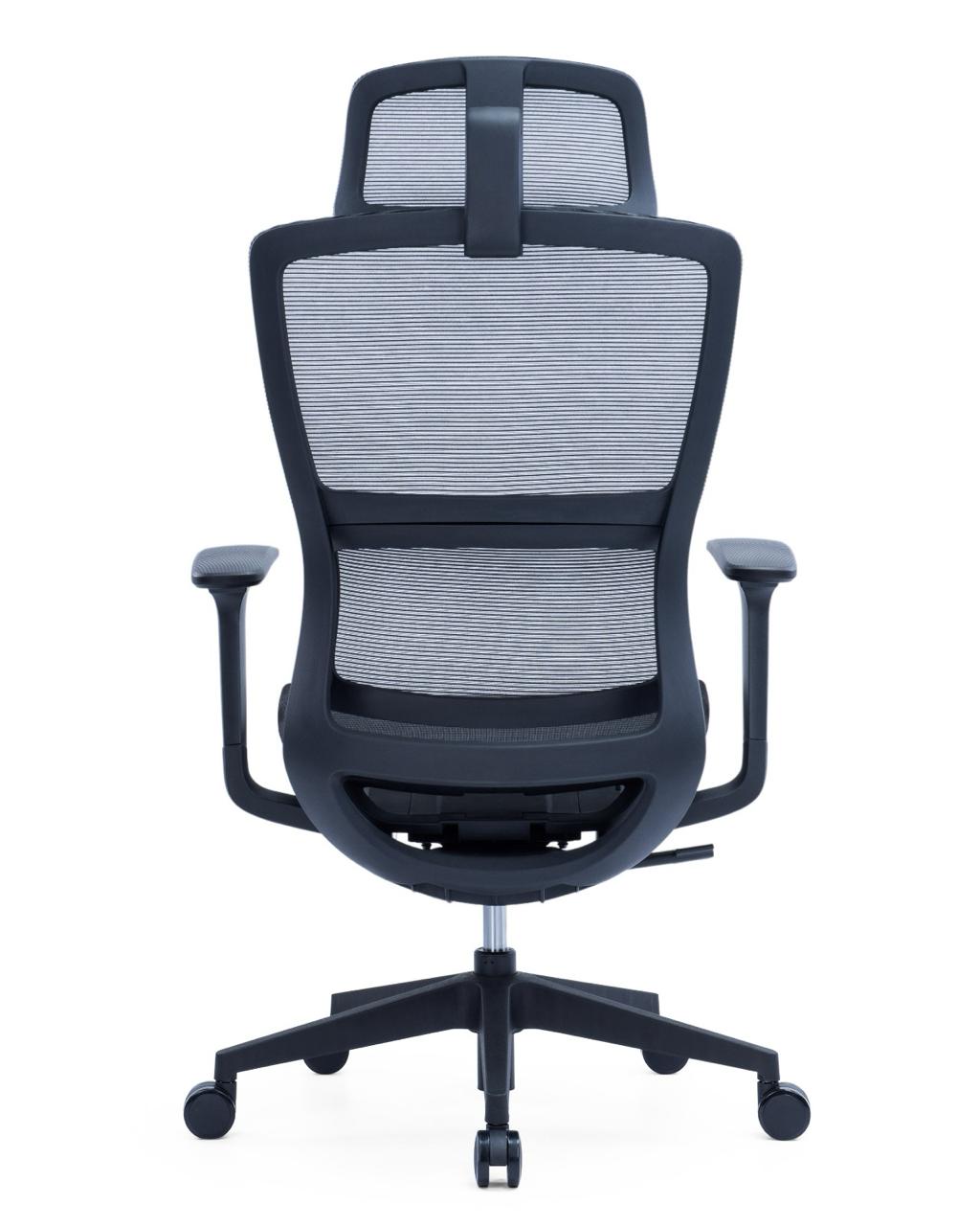 Ergonomic Mesh High-Back Office Chair with Adjustable Headrest and Lumbar Support – Full Mesh