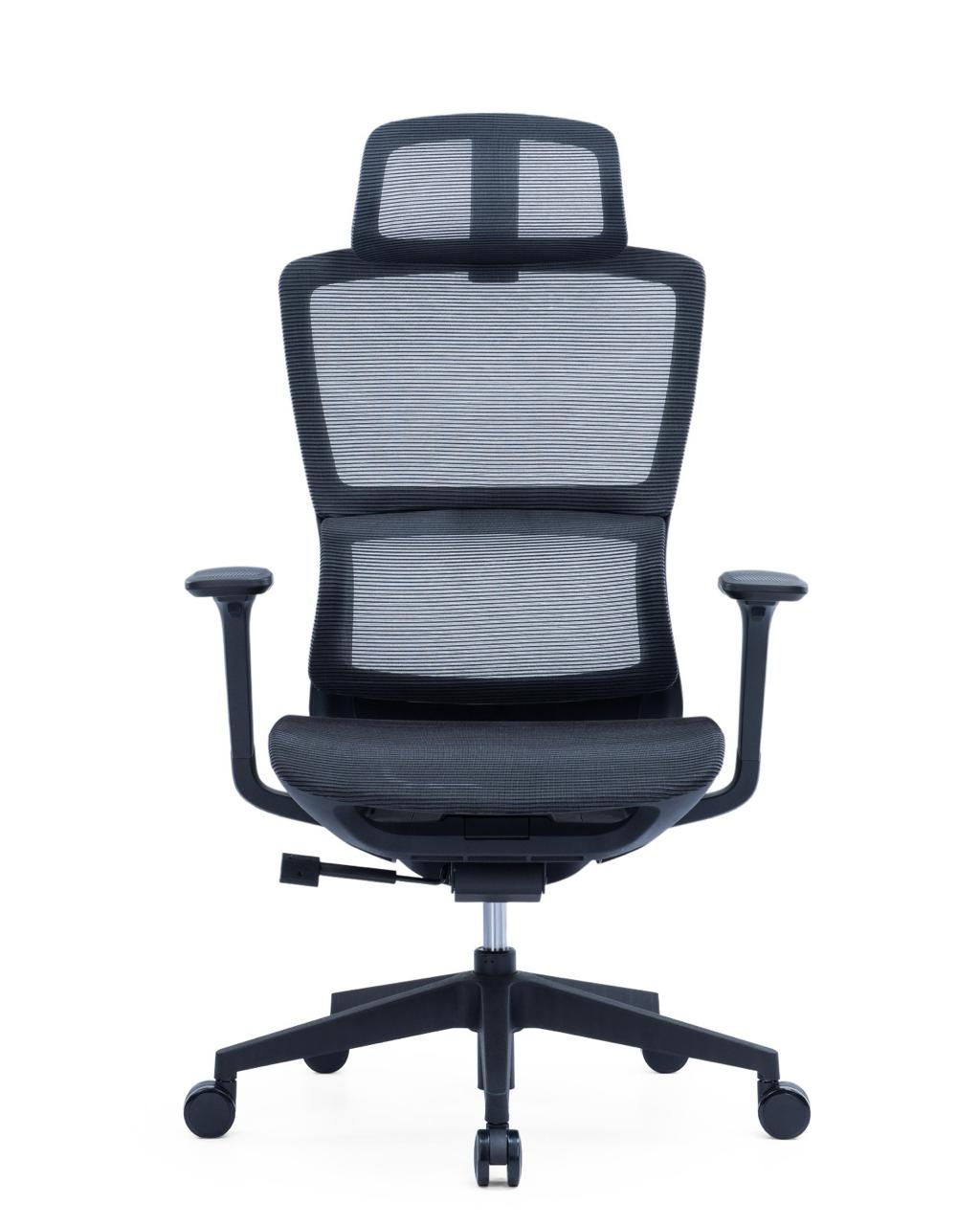 Ergonomic Mesh High-Back Office Chair with Adjustable Headrest and Lumbar Support – Full Mesh