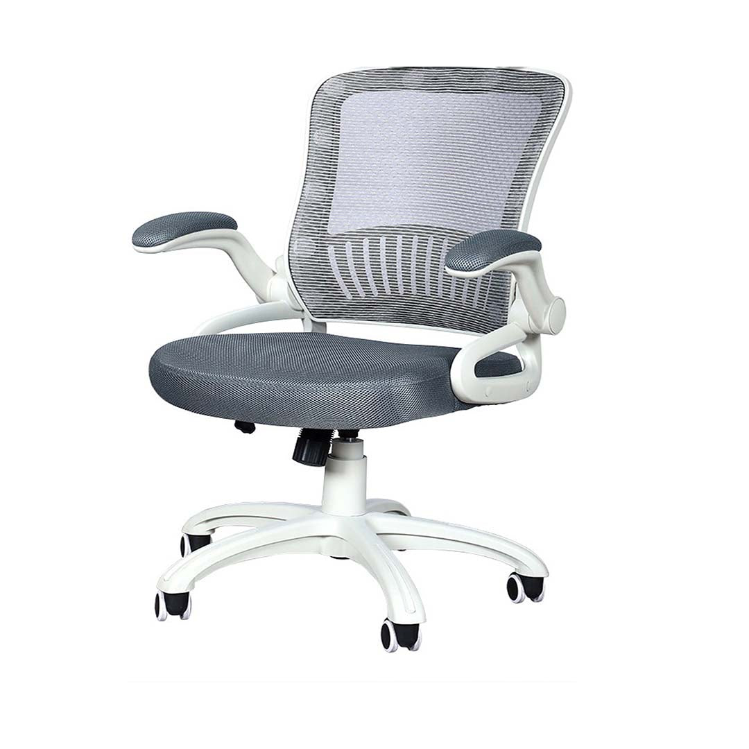 Low Back Office Chair With Lumbar Support, Arm Rest And Height Adjustable-GCC Home Center