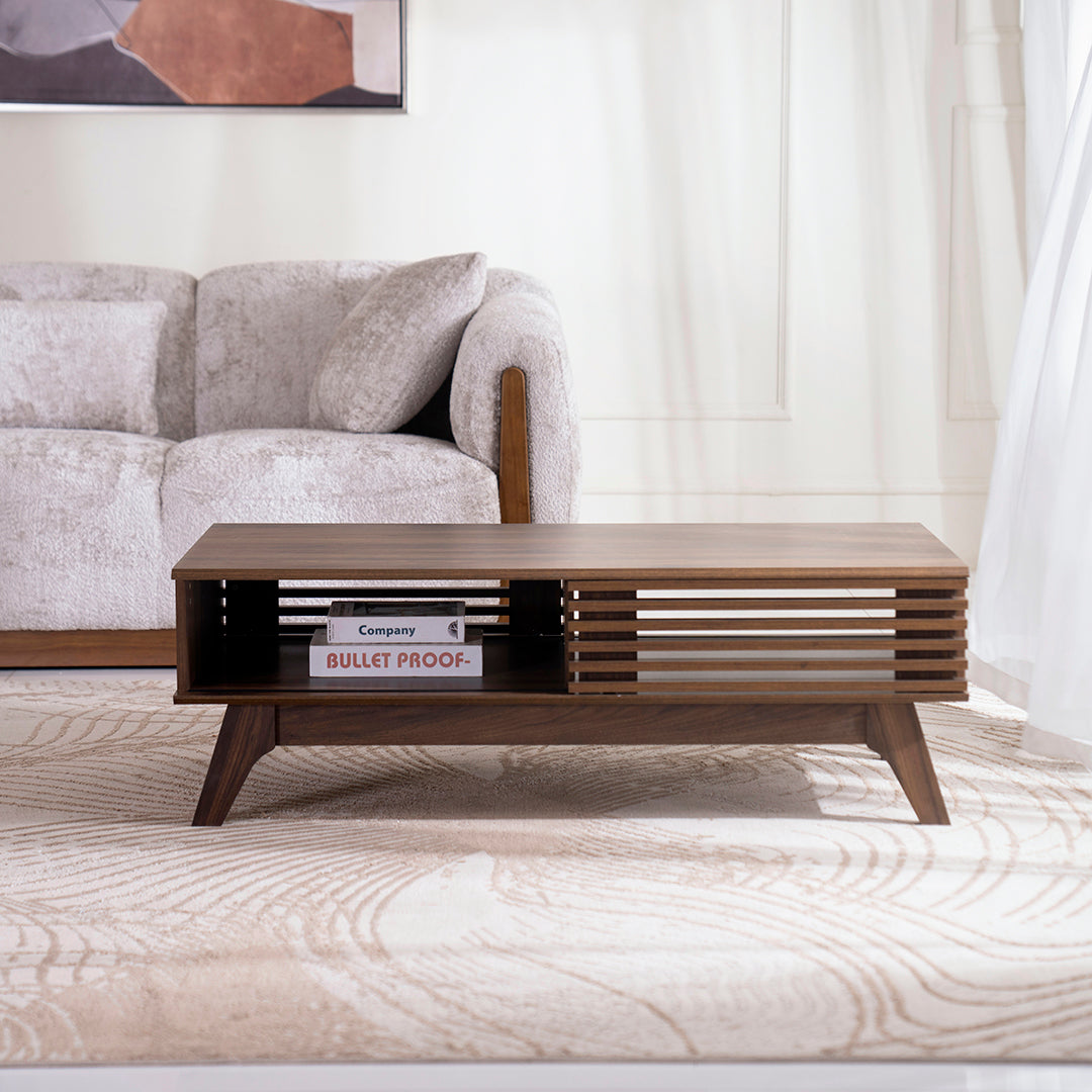 Coffee Table – Modern Walnut Table with Door & Shelf Storage