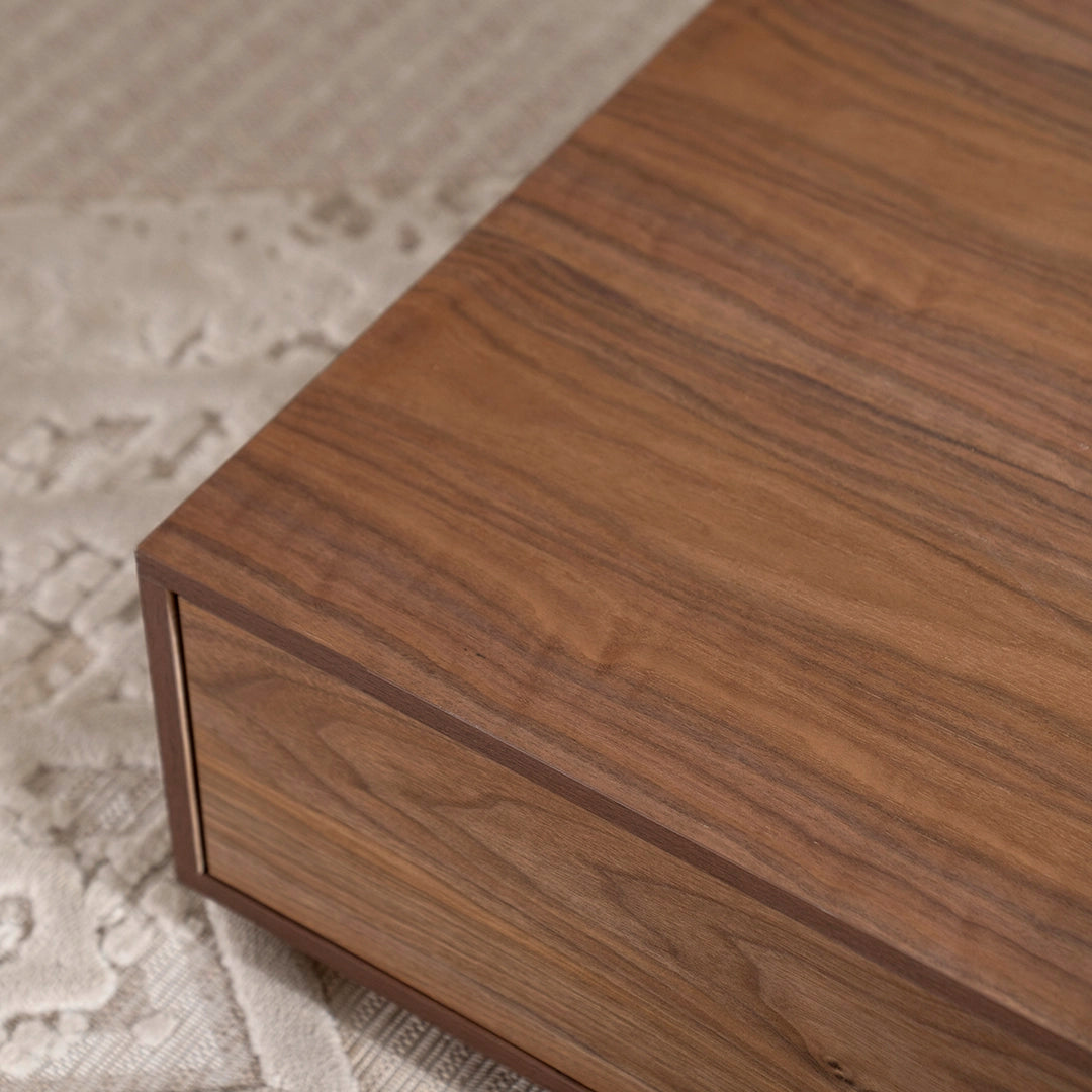 Elegant Coffee Table with 2 Storage Drawers