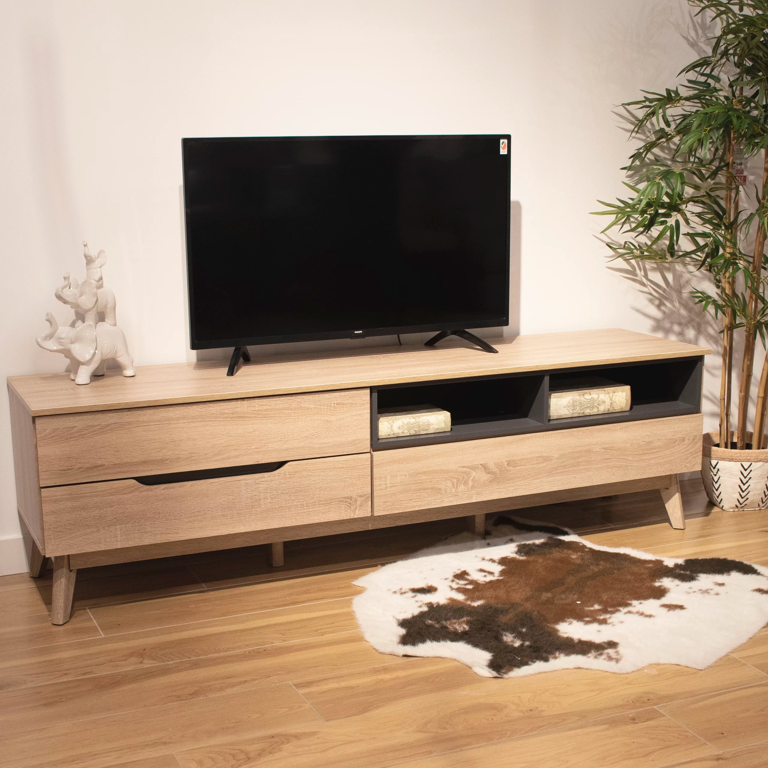 Hilary Modern TV Cabinet