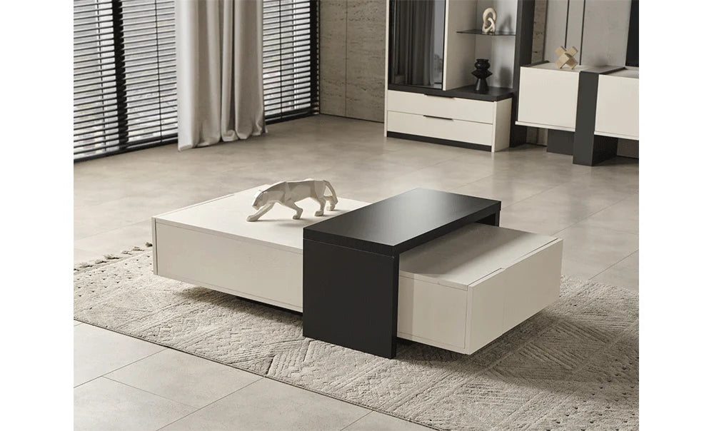 Elegant Coffee Center Table – White & Gray